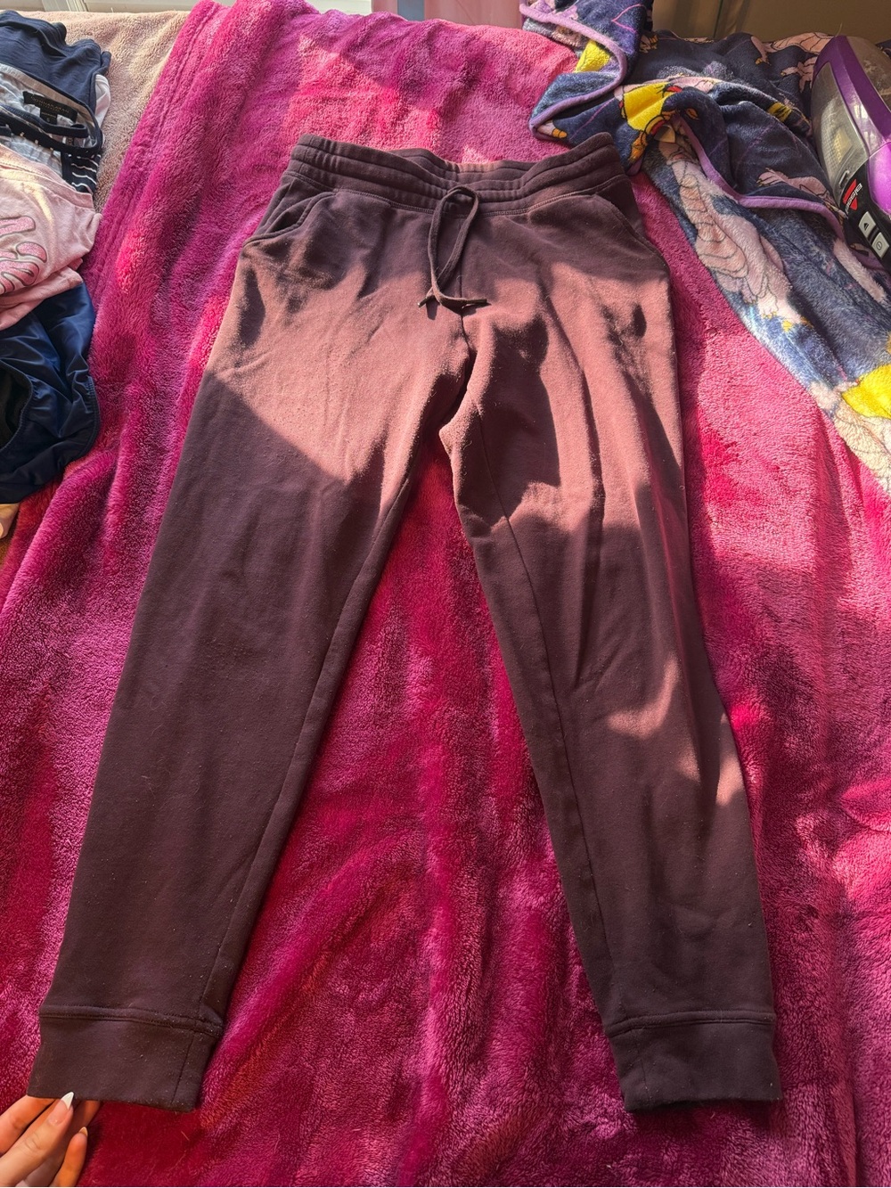 Women’s Purple Drawstring Jogger Pants